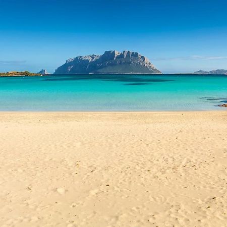 La Cala Apartment Олбия Екстериор снимка